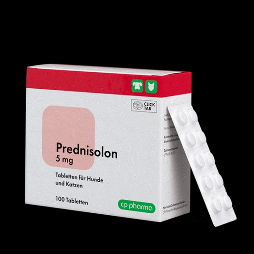 Prednisolon bestellen